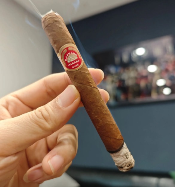 乌普曼逍遥 - 图片