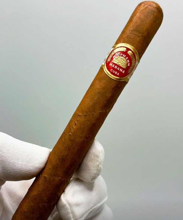 乌普曼逍遥 - 图片