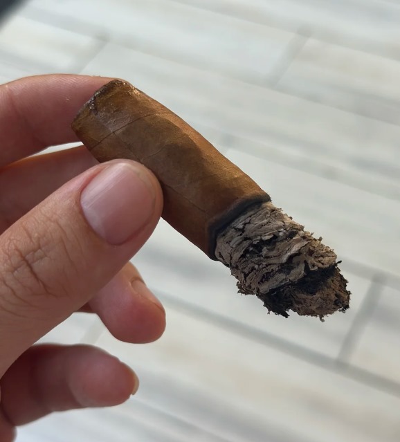 蒙特帆船赛 - 图片